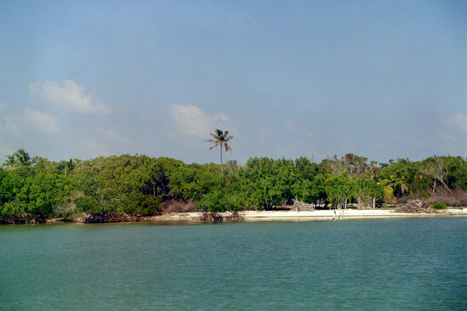 Water Caye's Beach