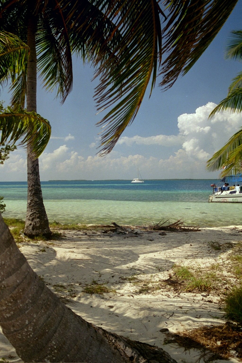 Rendezvous Caye