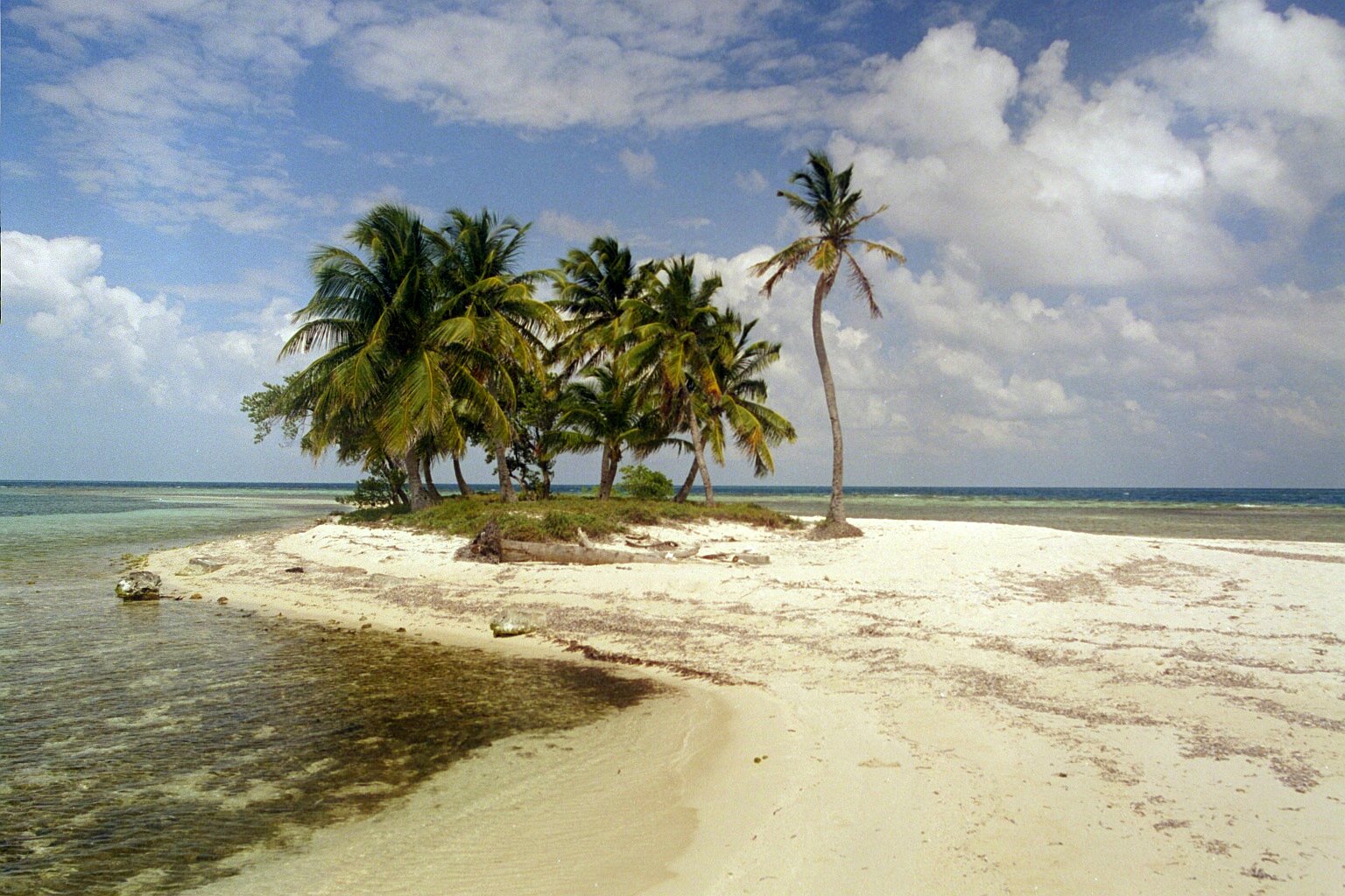 Rendezvous Caye