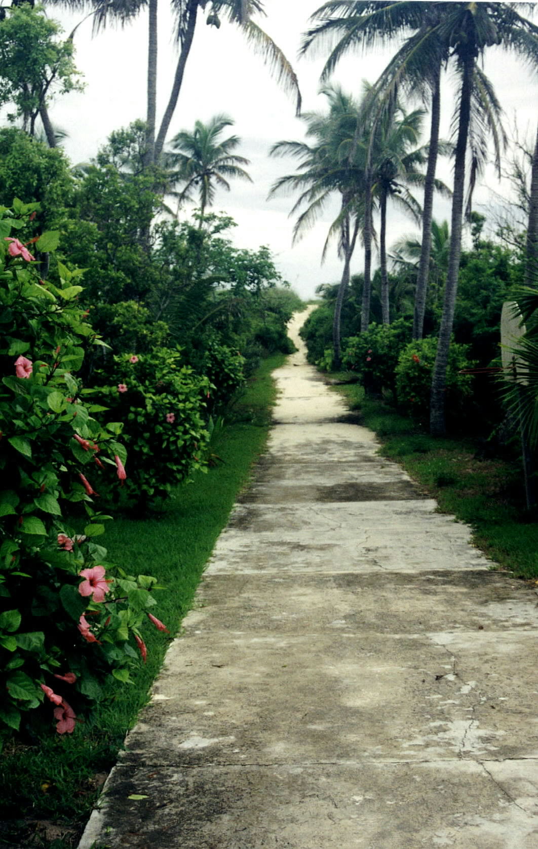 The sidewalk ends at the beach